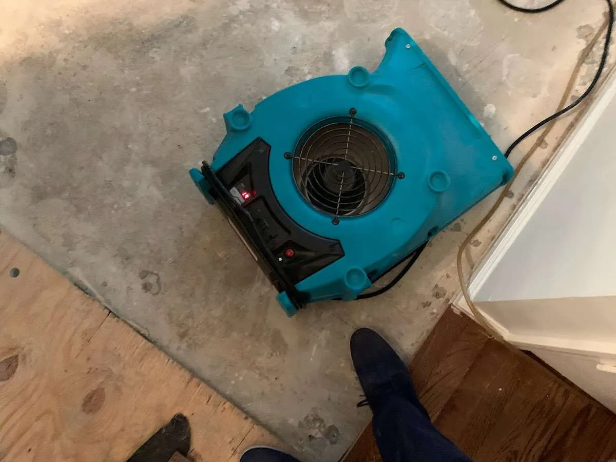 Air mover drying subfloor during Leak Detection & Repair in Cortland